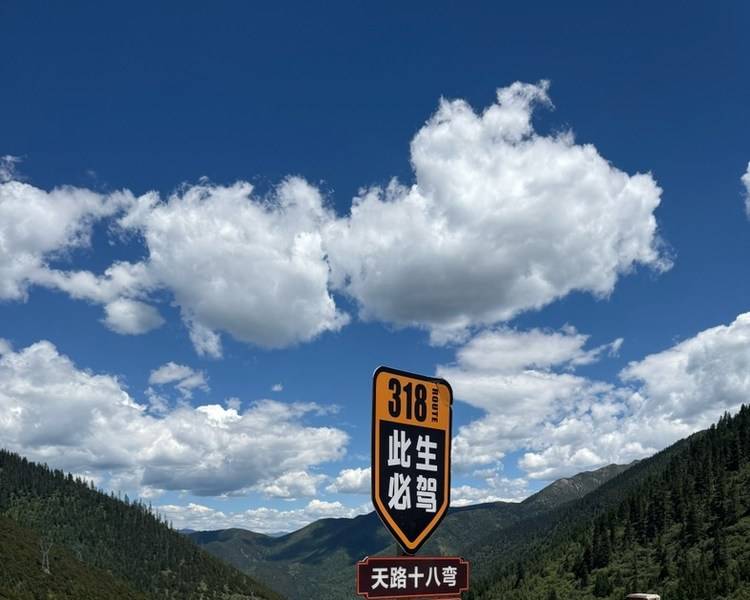 艺人背景图