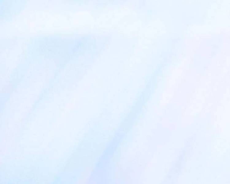 艺人背景图