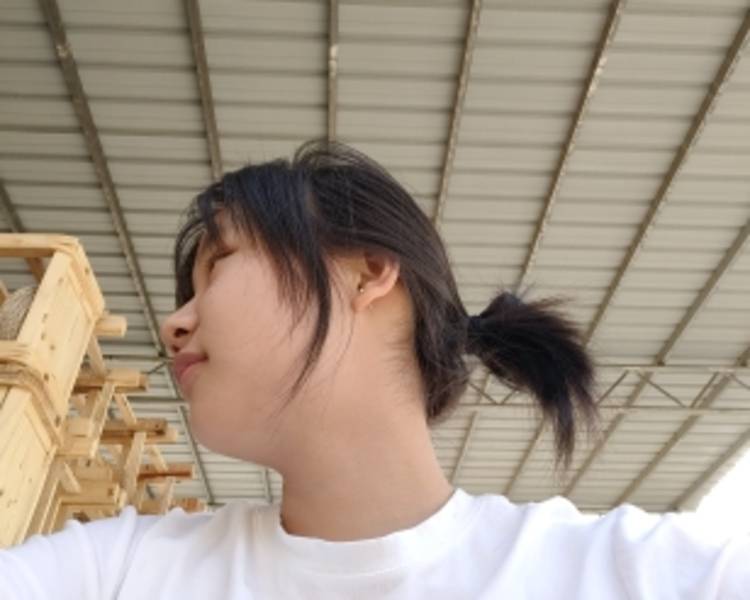 艺人背景图