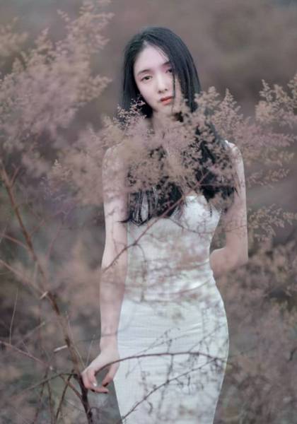 推荐艺人