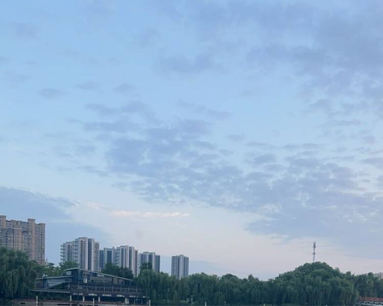 艺人背景图