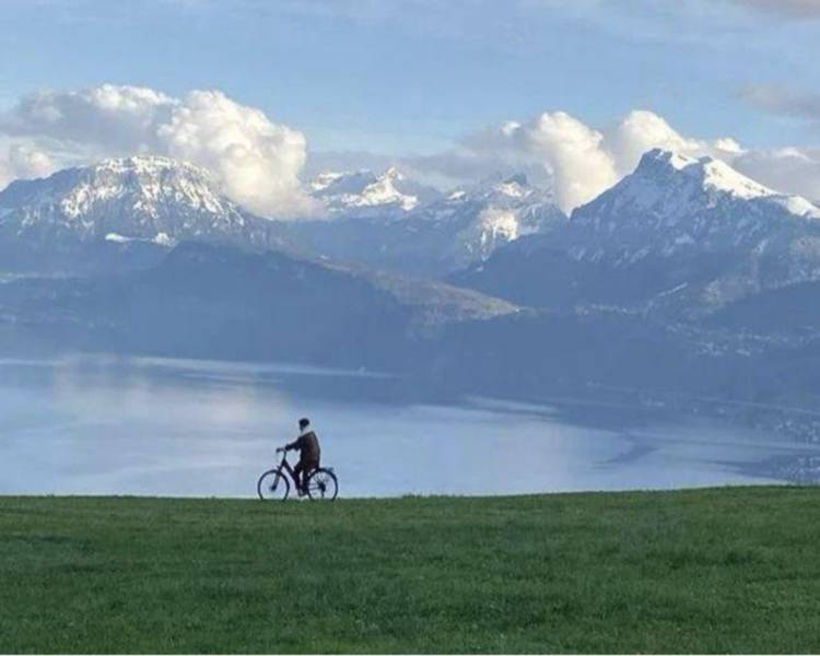 艺人背景图