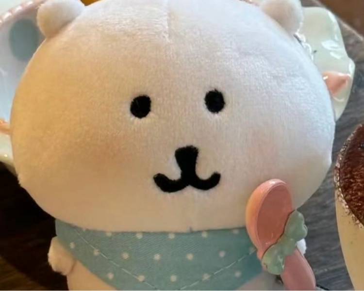 艺人背景图