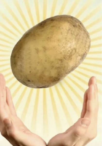 推荐艺人