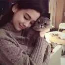 头像