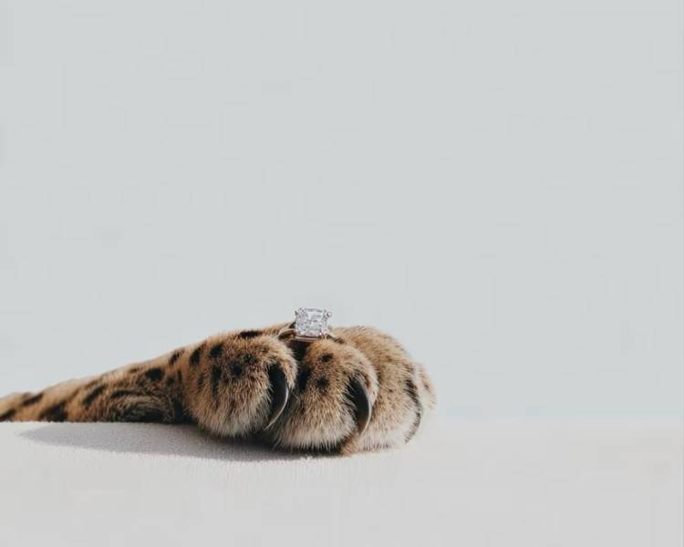 艺人背景图