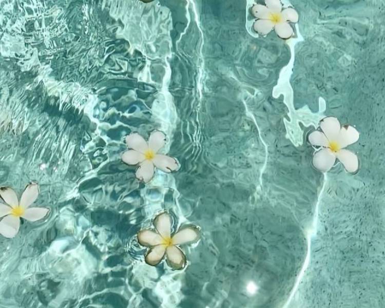 艺人背景图