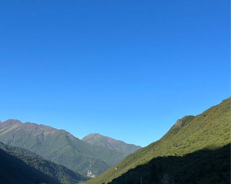 艺人背景图