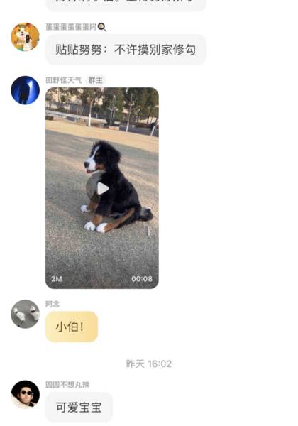 形象照片