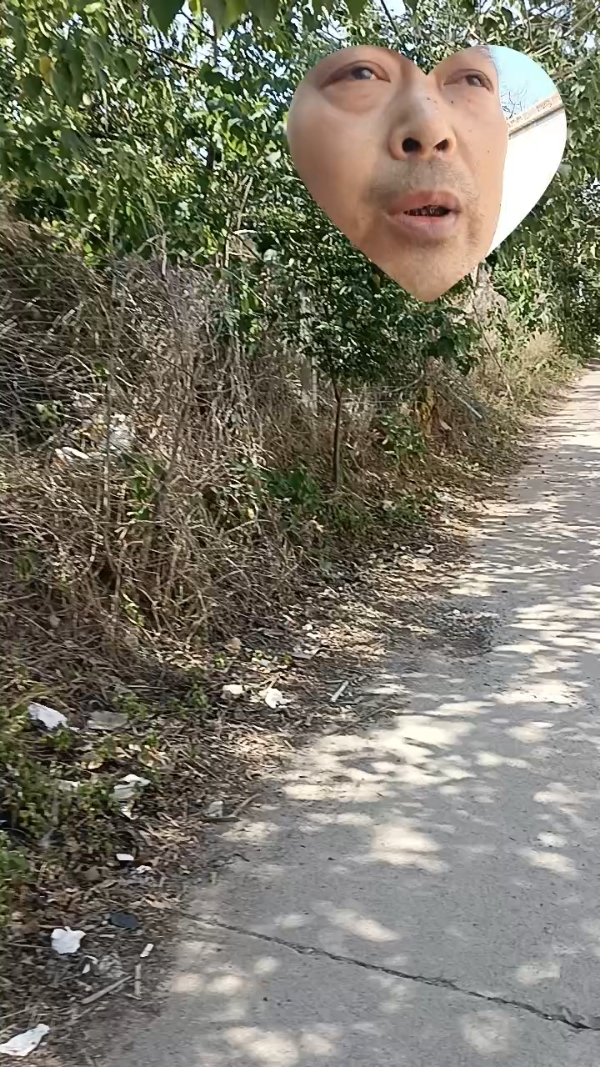 推荐作品