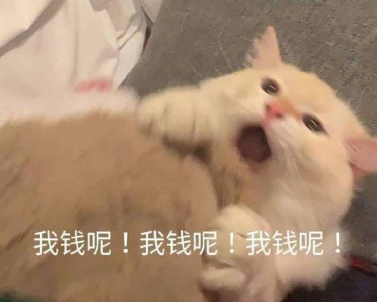 艺人背景图