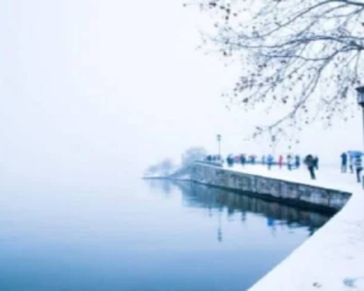 艺人背景图