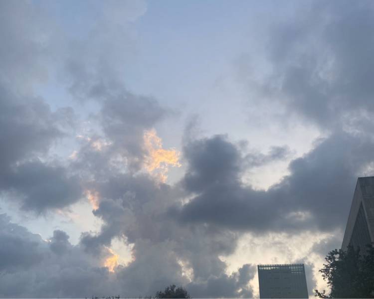 艺人背景图