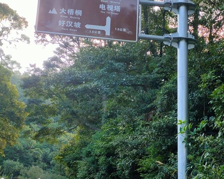 艺人背景图