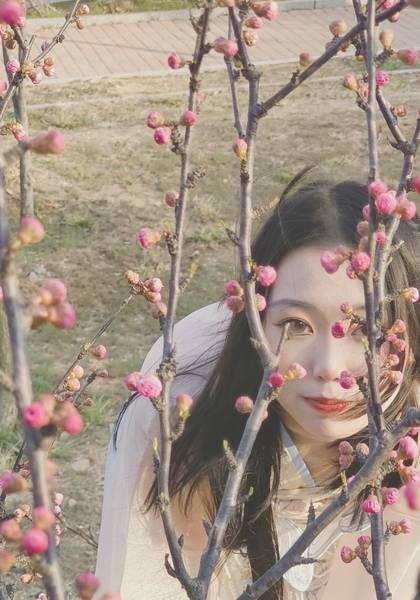 推荐艺人