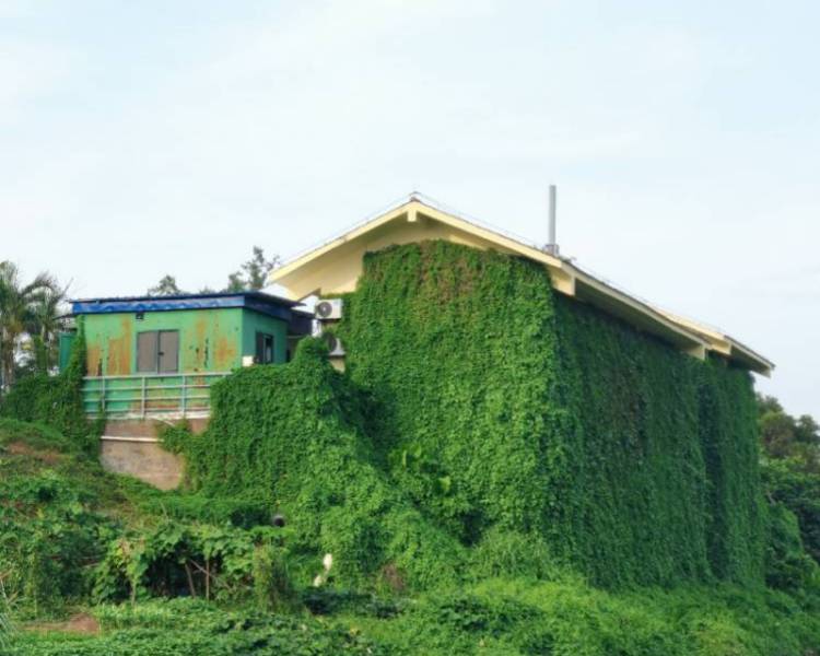 艺人背景图