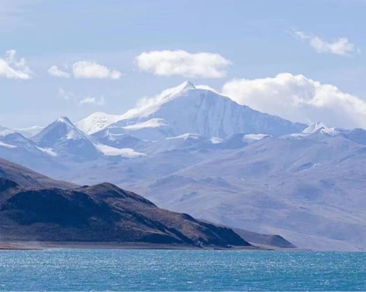艺人背景图