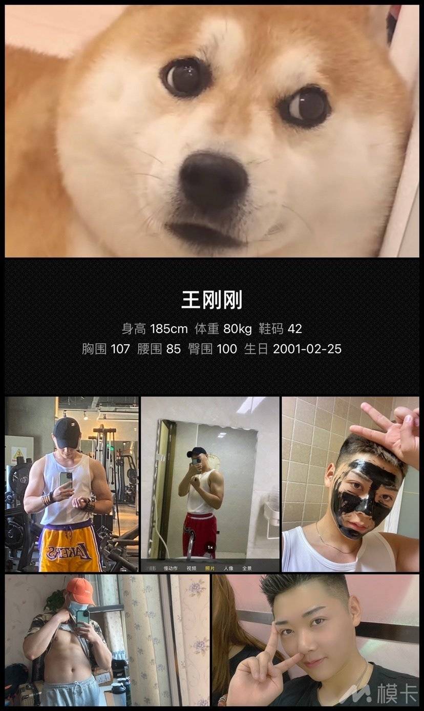 作品图片