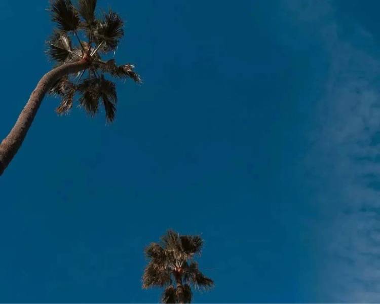 艺人背景图
