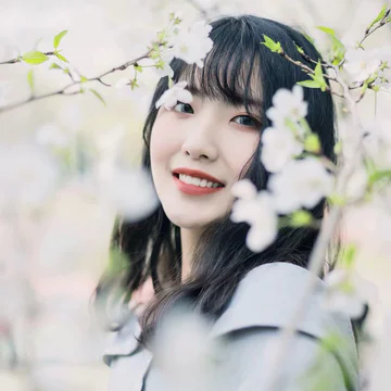 经历图片