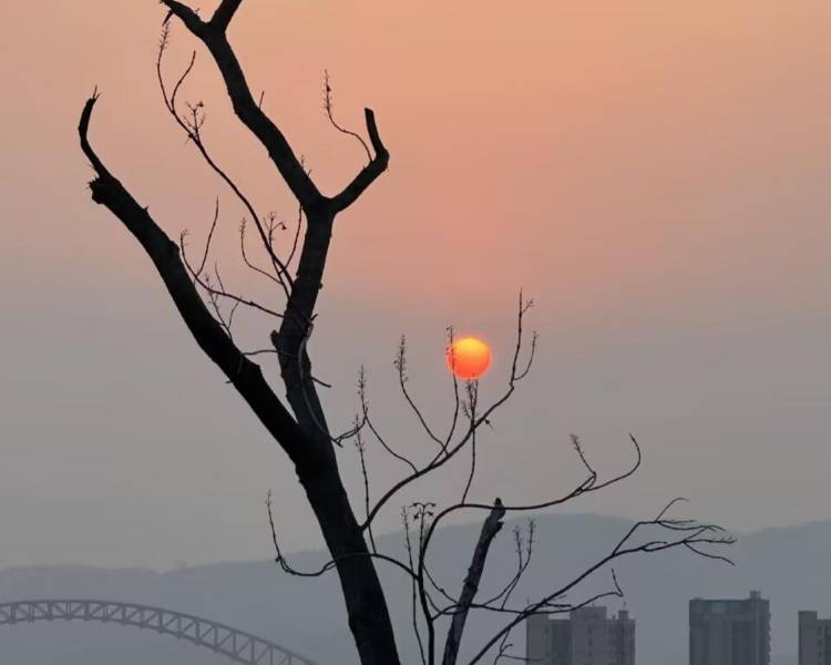 艺人背景图