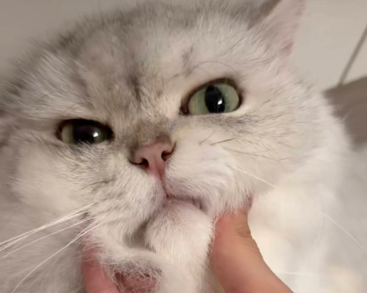 艺人背景图