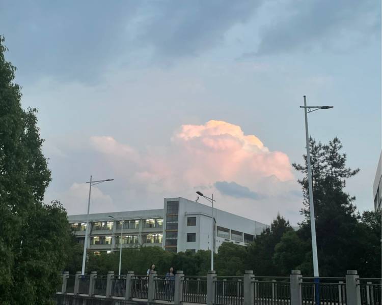 艺人背景图