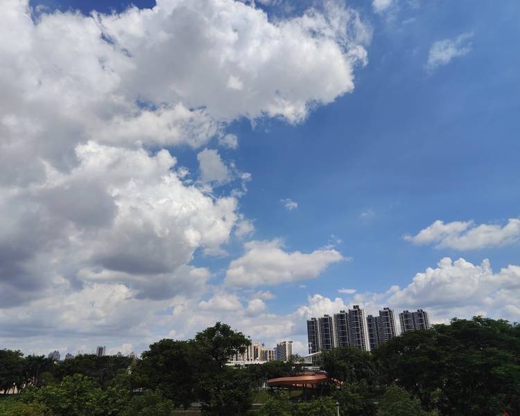艺人背景图