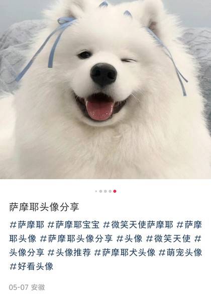 形象照片