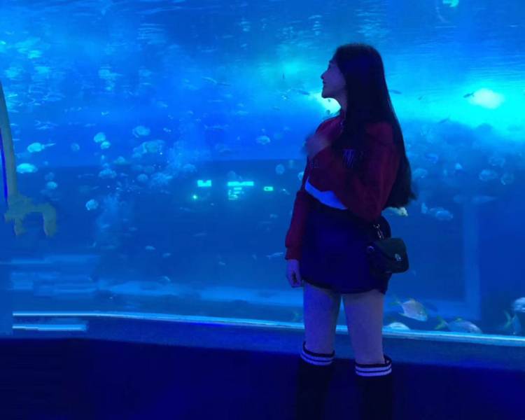 艺人背景图