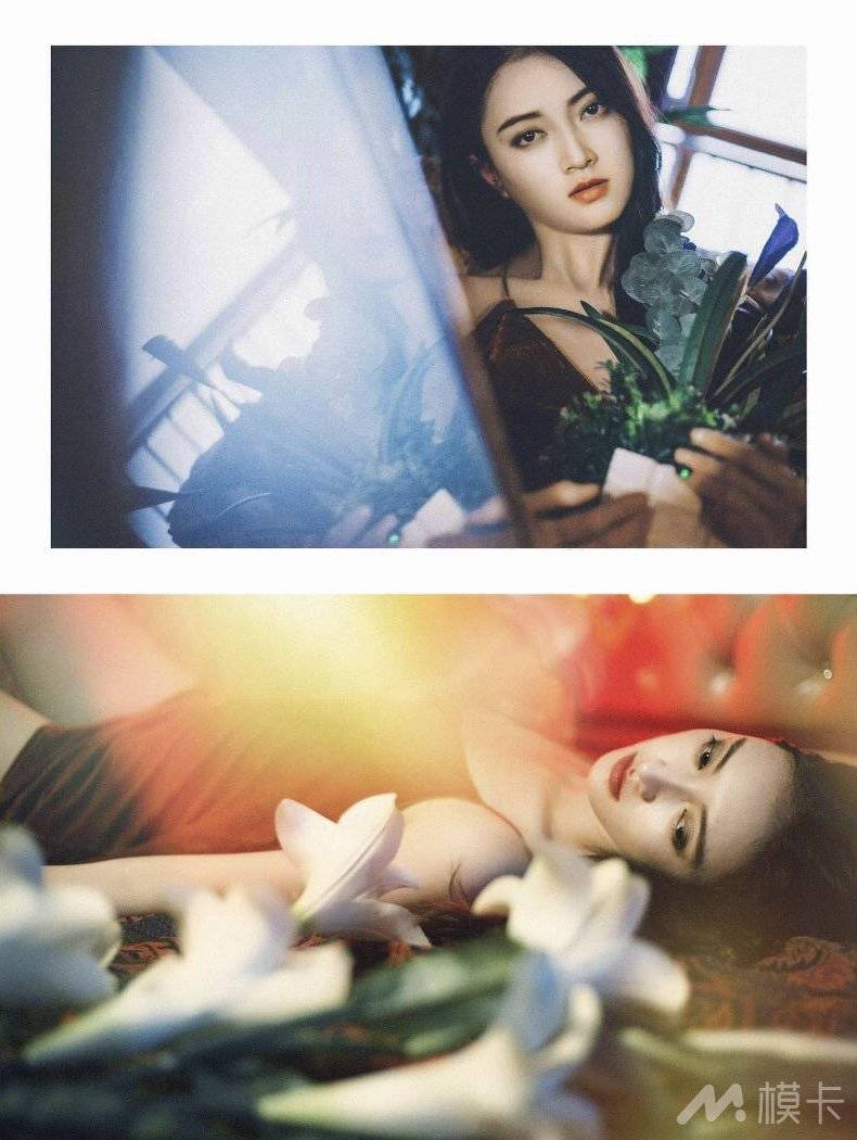 作品图片