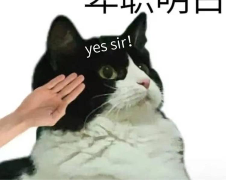 艺人背景图
