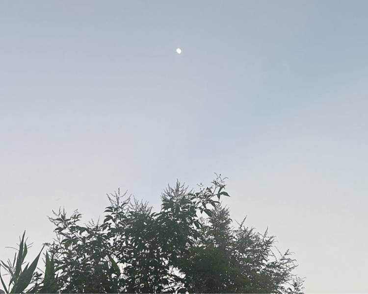 艺人背景图
