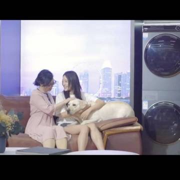 经历图片