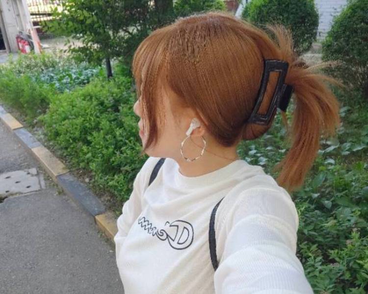 艺人背景图