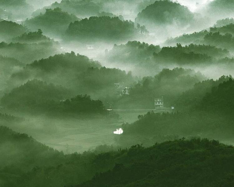 艺人背景图