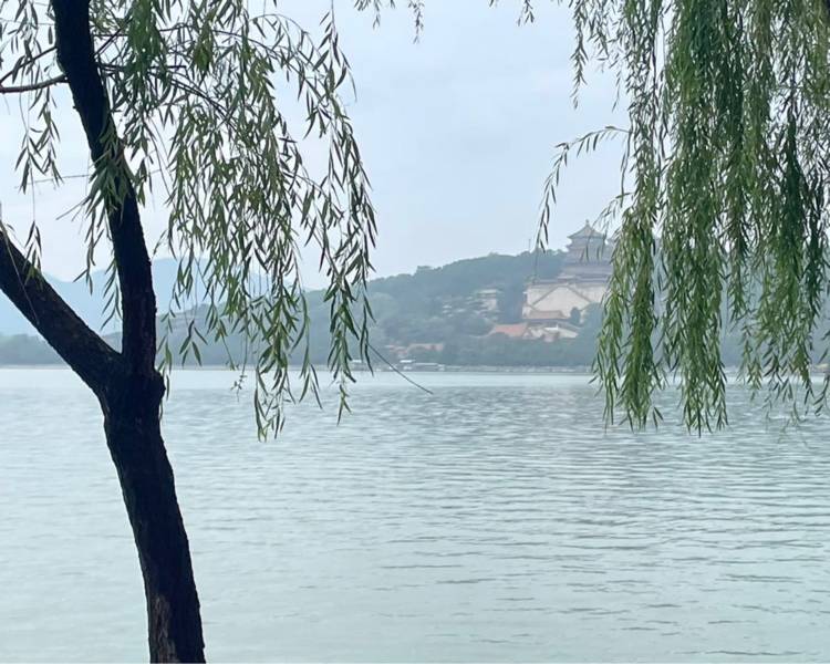艺人背景图