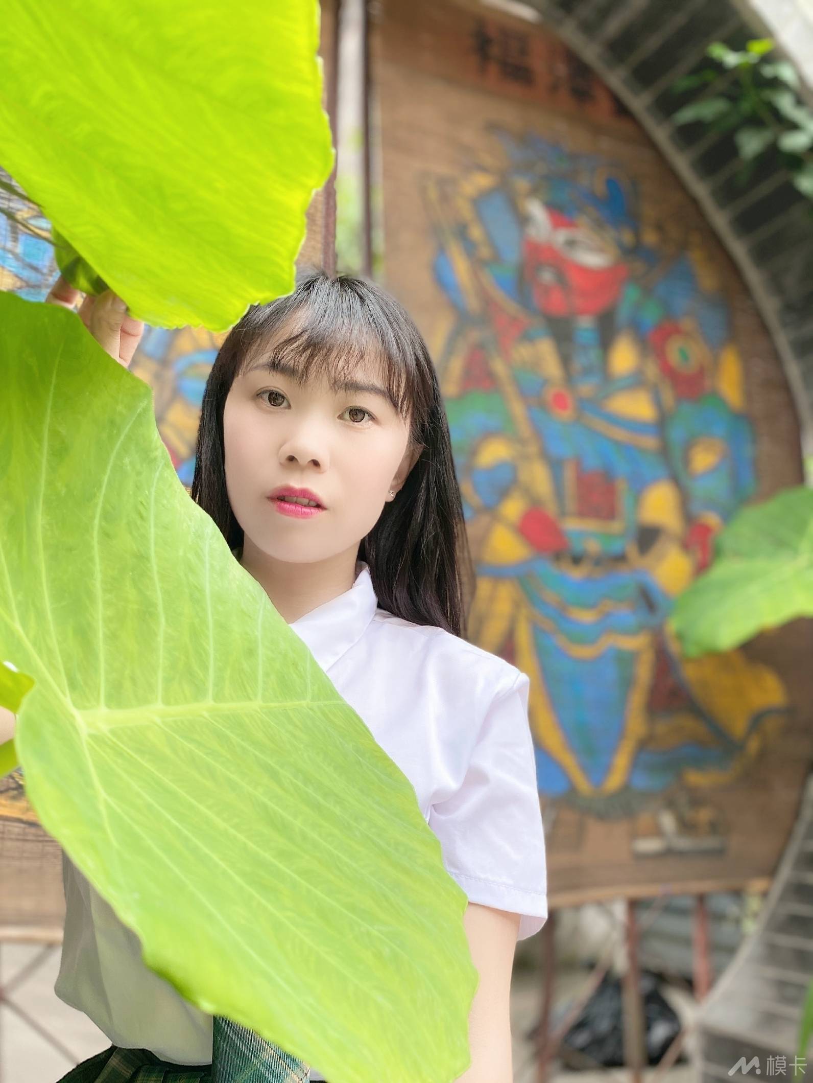 作品图片