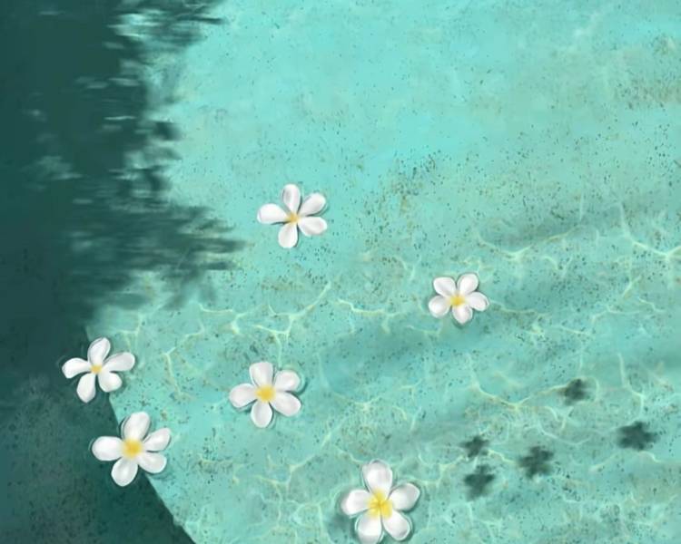 艺人背景图
