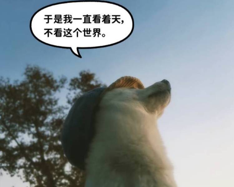 艺人背景图