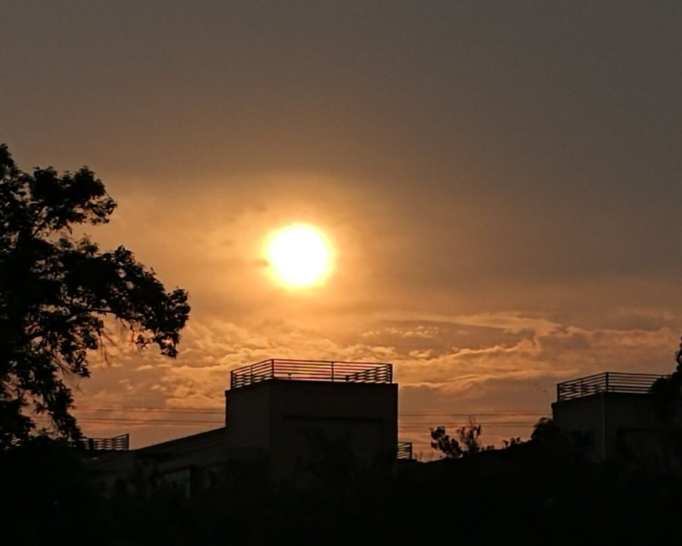 艺人背景图