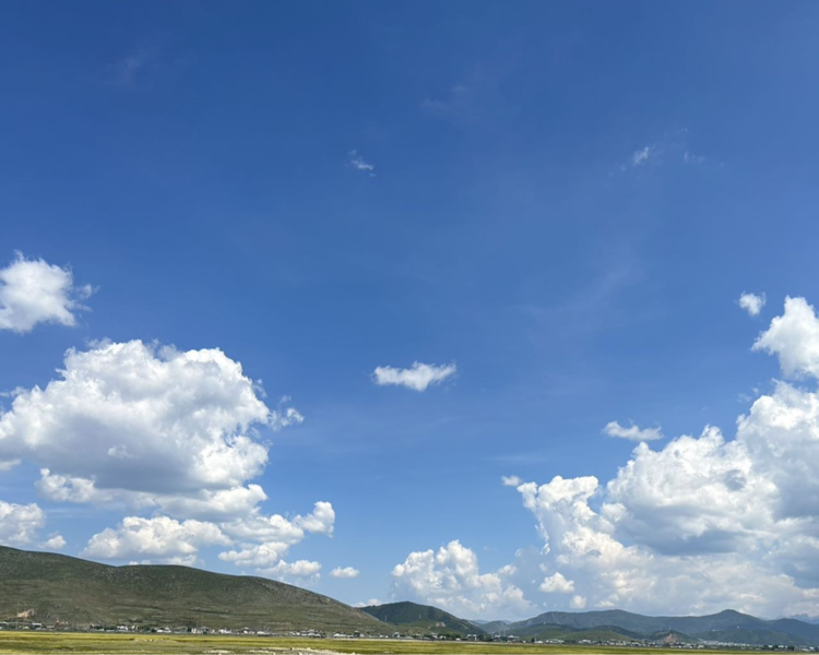 艺人背景图