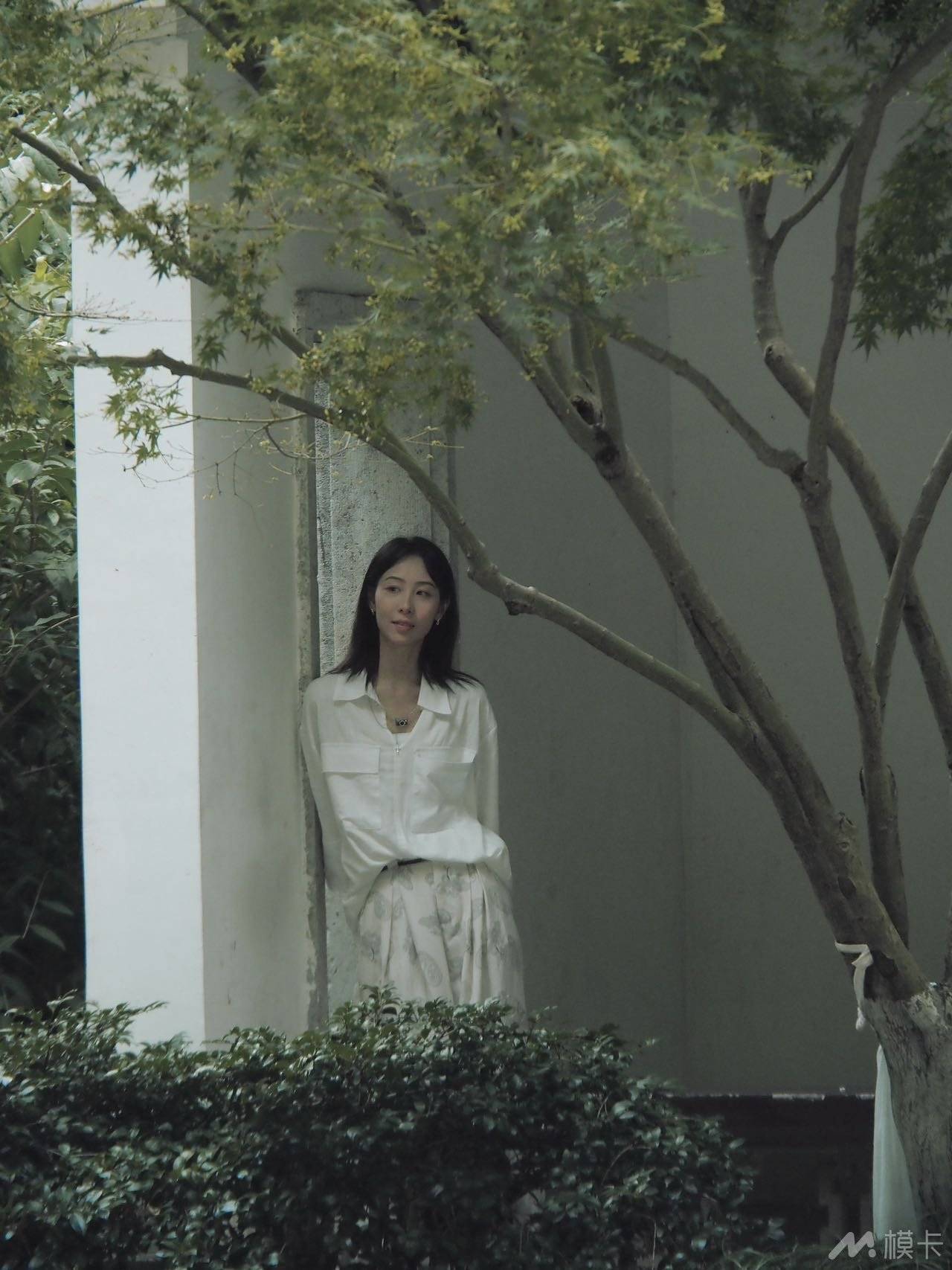 作品图片