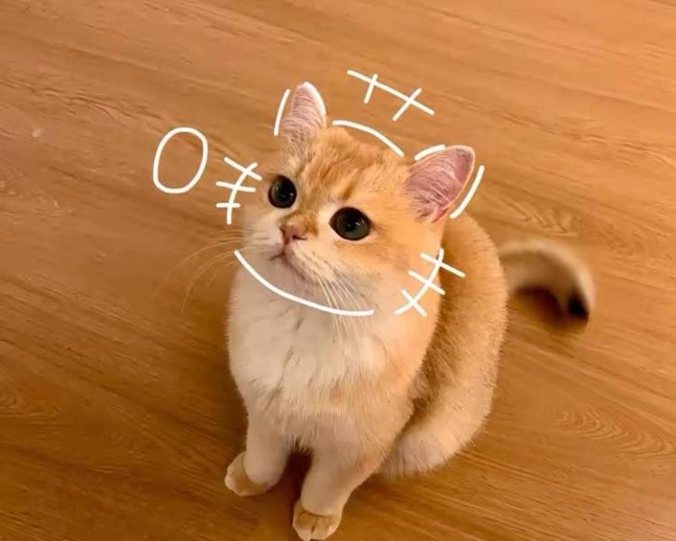 艺人背景图
