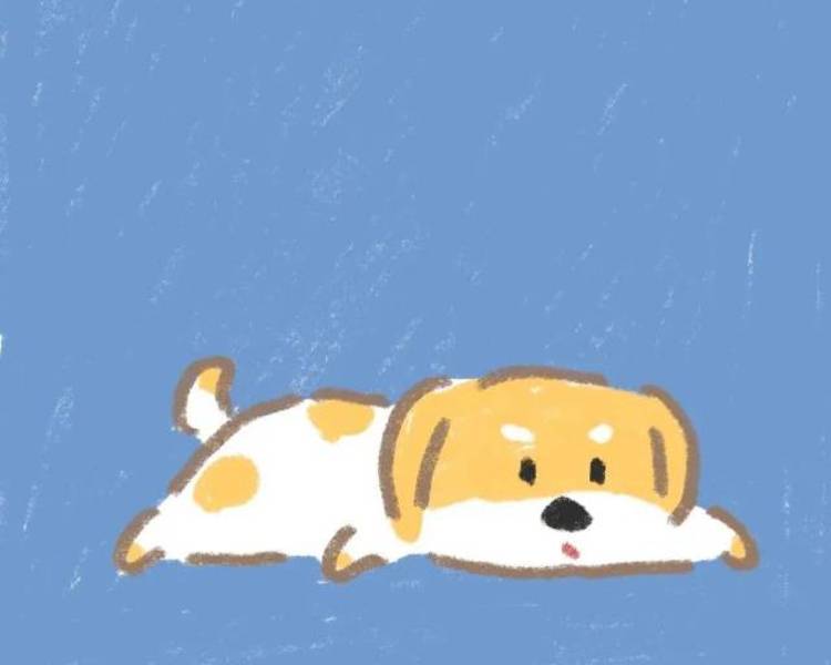 艺人背景图