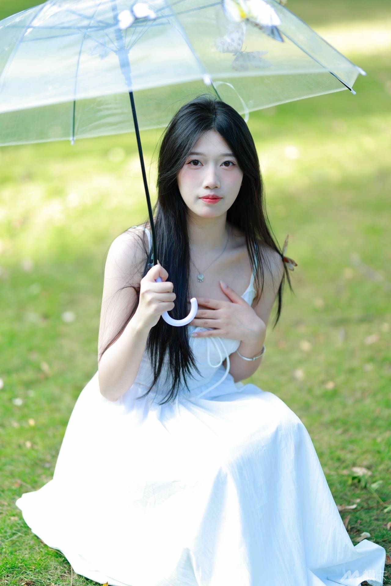 作品图片