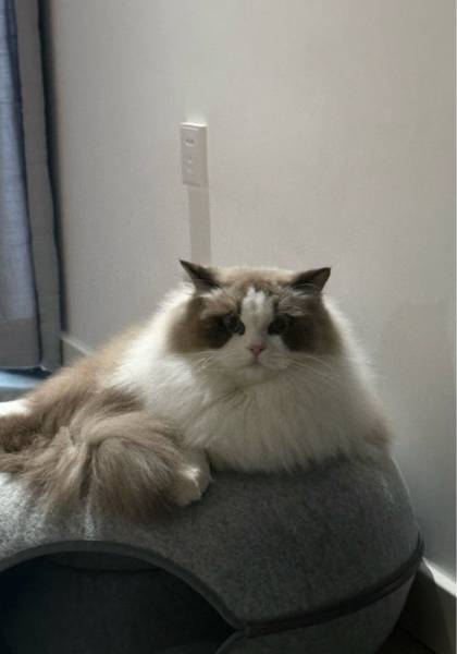 推荐艺人