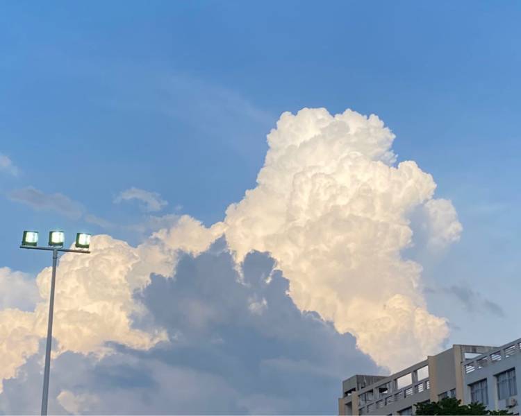 艺人背景图