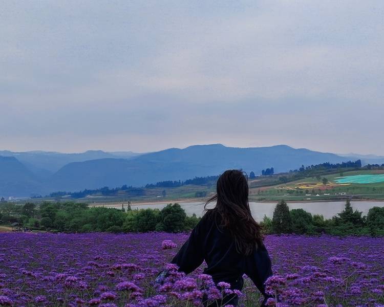 艺人背景图