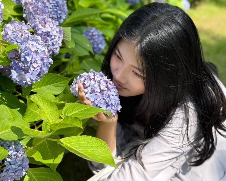 艺人背景图
